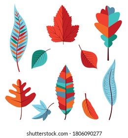 Set from Autumn colored leaves. Vector illustration
