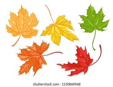 Set of autumn colored maple leaves isolated on white background. Vector illustration in a flat style.