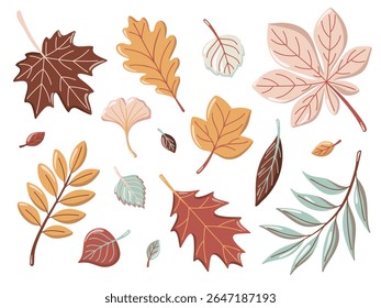 Conjunto de folhas coloridas de outono de árvores diferentes. Herbário de outono. Ilustração de vetor de desenhos animados sobre fundo branco
