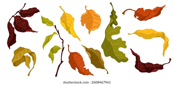 Set of autumn colorful leaves. Vector graphics.