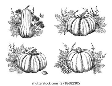 Conjunto com composições de outono com abóboras e vários elementos vegetais. Gráficos vetoriais. Ilustração desenhada à mão em preto e branco. Para cartões de saudação e convite, banners e cartazes, etiqueta de adesivos