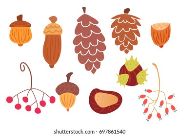Set of autumn cones and plants. Berries, chestnut, hazelnut and acorns. Flat vector illustration of white background.