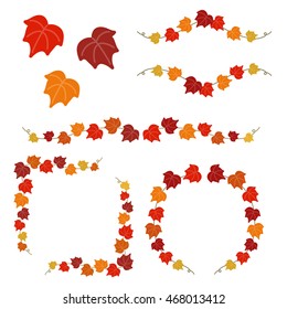 set of autumn creeper, vector eps10 illustration