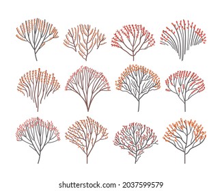Set of autumn deciduous trees in line art style. Isolated stylized autumn trees. Flat vector illustration.