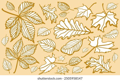 Set of autumn doodle colorful leaves. Hand drawn vector isolated collection. Outline. Fall of the leaves. Sketch, design elements.