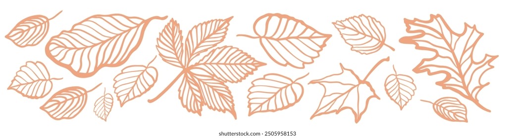 Set of autumn doodle colorful leaves. Hand drawn vector isolated collection. Outline. Fall of the leaves. Sketch, design elements.