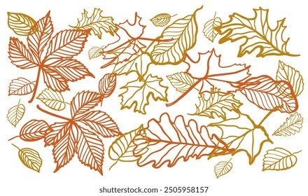 Conjunto de hojas de colores de doodle de otoño. Dibujado a mano colección aislada de Vector. Esquema. Caída de las hojas. Boceto, Elementos de diseño.