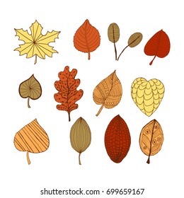 Set of autumn doodle decorative leaves