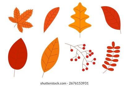 Set of autumn doodle design elements with autumn flowers and leaves isolated on a white background. Vector illustration