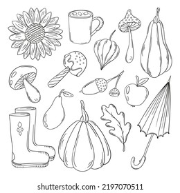 A set of autumn doodles, vegetables, foliage and objects isolated on a white background. Hand drawn, simple outline illustration. It can be used for decoration of textile, paper.