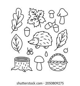 A set of autumn drawings. Contour image of a hedgehog, mushrooms, fallen leaves, an acorn, a basket. black drawing of autumn forest plants and animals for stickers, decor, postcards. Vector clipart