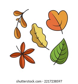 set of autumn element doodle hand drawn