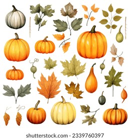 Set of autumn element in watercolor style