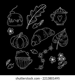 Set of autumn elements in chalkboard style. Pumpkins, cocoa with marshmallows, autumn leaves, dried flowers, croissant, acorns and other autumn details. White outline on black background vector 