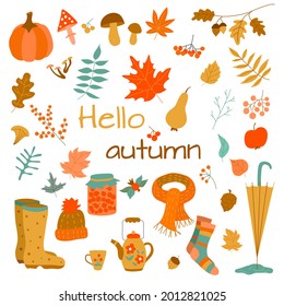 Set of autumn elements: color autumn leaves, pumpkin, mushrooms, berries and fruits, autumn clothing, umbrella. Vector illustration for posters, stickers, cards, banners, isolated on white background