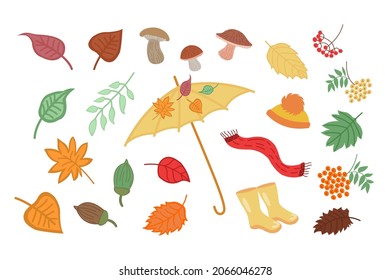 Set of autumn elements for design and decoration. Autumn elements leaves, mushrooms, clothes, umbrella. Autumn postcard design. Vector illustration in doodle style.