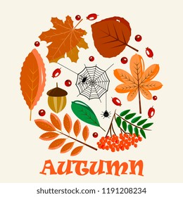 set of autumn elements in the form of a circle. Leaves, berries, acorns, cobwebs. vector illustration flat style