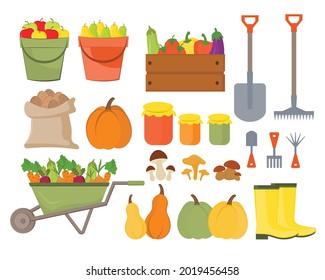 Set of autumn elements, harvest concept. Set for decorating an autumn party, farmers market, harvest festival or Thanksgiving. Autumn design elements: pumpkin, apples, pears, vegetables and mushrooms.