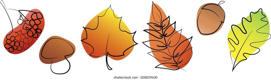 Set of autumn elements icon in one line art style. Isolated autumn leaves on white background. One continuous line drawing art illustration