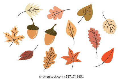 Set of autumn elements. Leaves, acorns, autumn flowers