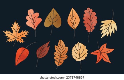 Set of autumn elements. Leaves, acorns, autumn flowers