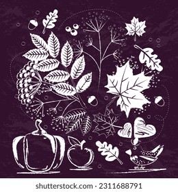Set of autumn elements, leaves, apple, pumpkin, bird. Chalkboard style. Autumn mood in hand drawn vector illustration.