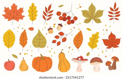 Set of autumn elements. Autumn leaves. Harvest time. Beautiful autumn elements. Color fashion illustrations. Vector illustration