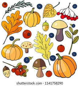 Set of autumn elements. Autumn leaves, mushrooms and pumpkins on a white background