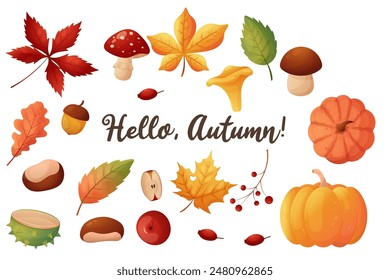 A set of autumn elements. Leaves, mushrooms, chestnuts and pumpkins. Isolated on a white background.
