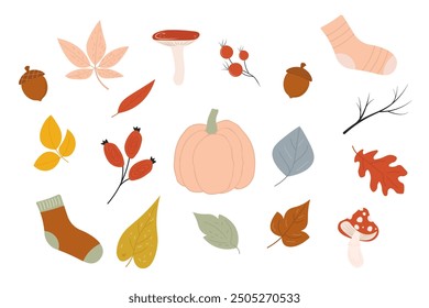 Set of autumn elements. Leaves, pumpkin, mushrooms, acorns, berries