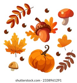 set of autumn elements mushroom, pumpkin, acorn autumn leaves vector illustration
