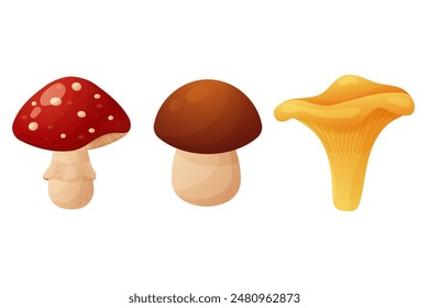 A set of autumn elements. Mushrooms, boletus, fly mushroom and chanterelle. Isolated on white background.