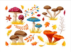 Set Of Autumn Elements From Mushrooms, Branches With Berries And Leaves. Collection Of Illustrations Of Autumn Leaves, Branches, Mushrooms. Design Elements For Postcards, Banners, Invitations, Busines