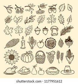 A set of autumn elements of nature handmade. Elements of the design for Thanksgiving and the Feast of Autumn.