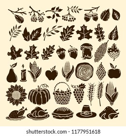 A set of autumn elements of nature handmade. Elements of the design for Thanksgiving and the Feast of Autumn.