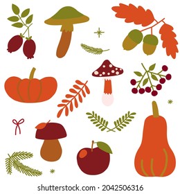 Set of autumn elements. Oak branch with acorns, pumpkin, apple, berries, mushrooms, leaves and branch. Ready-made elements for design prints, gift wrapping, decor and logos