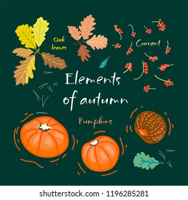 Set of autumn elements: oak leaves, pumpkins, currants on a dark background
