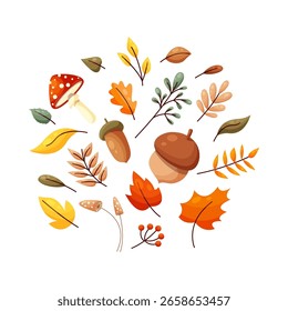 Conjunto de Elementos de otoño sobre fondo blanco