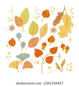Set with autumn elements such as leave, berries. Isolated fall coloured elements for stickers, t-shirs printing.
