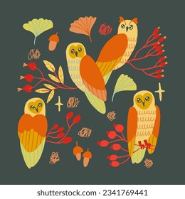 Set with autumn elements such as leaves, owls, berries. Isolated fall coloured elements for stickers, t-shirs printing.