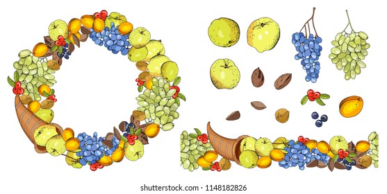 Set of autumn elements for thanksgiving. Round frame and seamless border of cornucopia with grapes, apples, nuts, fruit. Isolated fruit on white. 