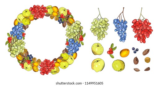 Set of autumn elements for thanksgiving. Round frame and seamless borderwith grapes, apples, nuts, fruit. Isolated fruit on white.