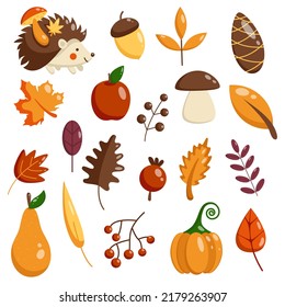 Set von Herbstelementen. Vektorflache Kollektion von Herbstblättern und Waldsymbolen. Herbstlaub, Hedgehog, Kürbis, Eiche, Ahorn, Ahorn.