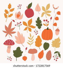 Set of autumn elements.Autumn leaves, mushroom, beries, pumpkin and apple. Hand drawn autumn leaves