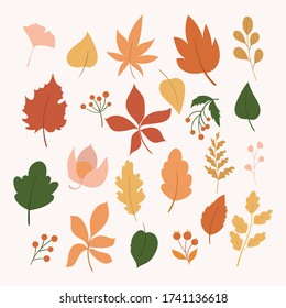 Set of autumn elements.Autumn leaves, mushroom, beries, pumpkin and apple. Hand drawn autumn leaves
