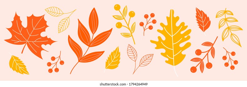 Set of autumn elements.Autumn orange and yellow leaves.Hand drawn autumn leaves
