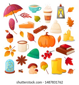 Set of autumn fall colorful objects. Simple shaped leaves, food and hobby objects isolated on white. Vector design elements.