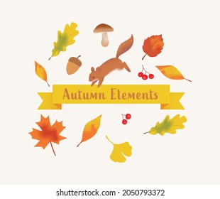 Set of autumn or fall elements