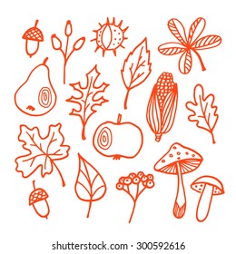 Set of autumn fall elements, various leaves, apple, pear, acorn, mushrooms, isolated vector sketches