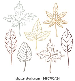 Set of autumn, fall leaves - oak, maple, birch, aspen, hand-drawn outlines, vector illustration isolated on white background. Set of hand drawn fall leaves, autumn symbols